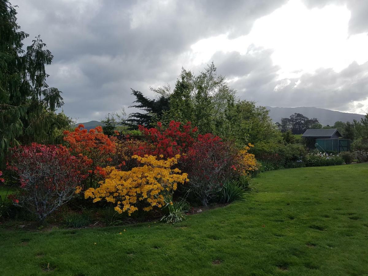 Highgate Bed And Breakfast & Garden Pirongia Exteriör bild